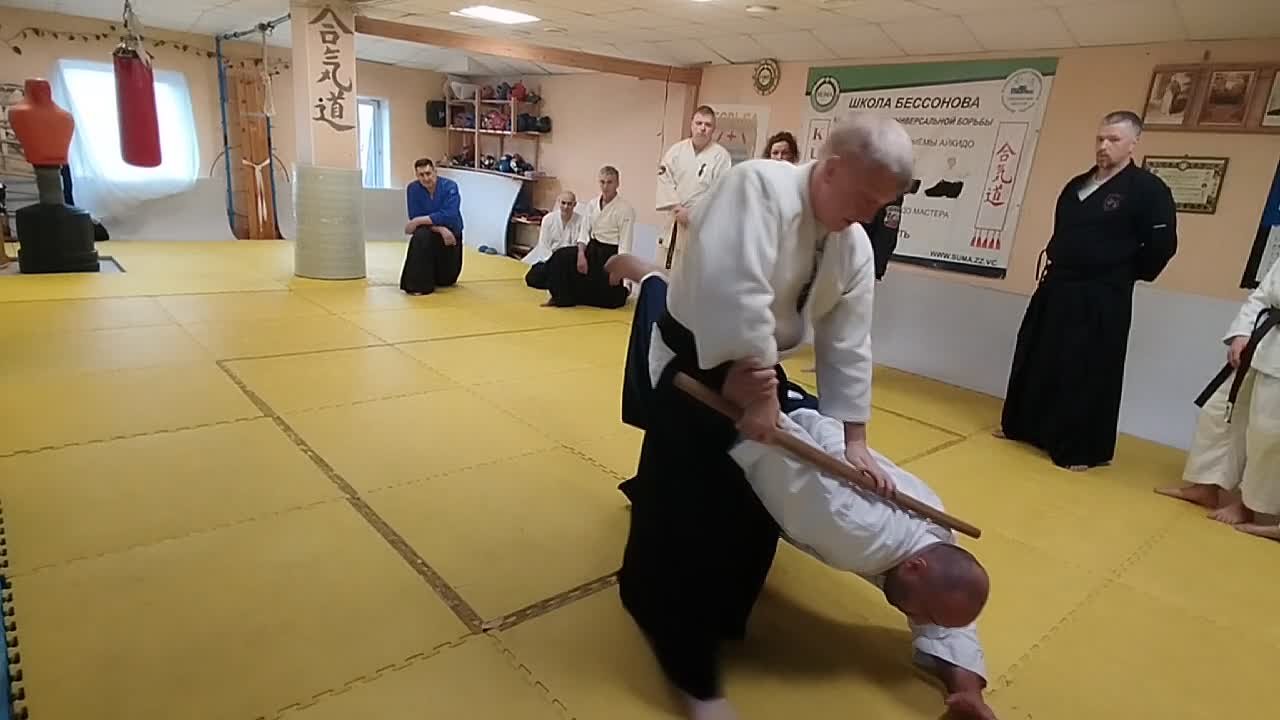 Goleshev Aikido Seminar 2024 — Part 2